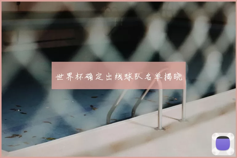 世界杯确定出线球队名单揭晓