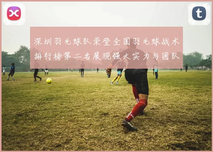 深圳羽毛球队荣登全国羽毛球战术排行榜第二名展现强大实力与团队合作