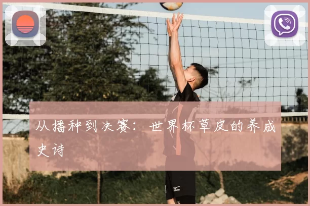 从播种到决赛：世界杯草皮的养成史诗