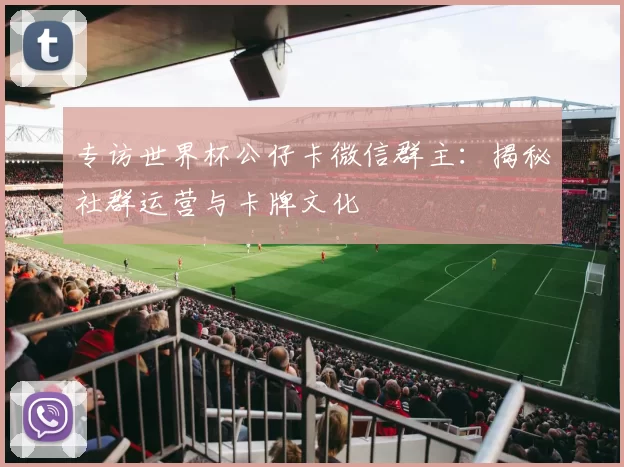 专访世界杯公仔卡微信群主:揭秘社群运营与卡牌文化