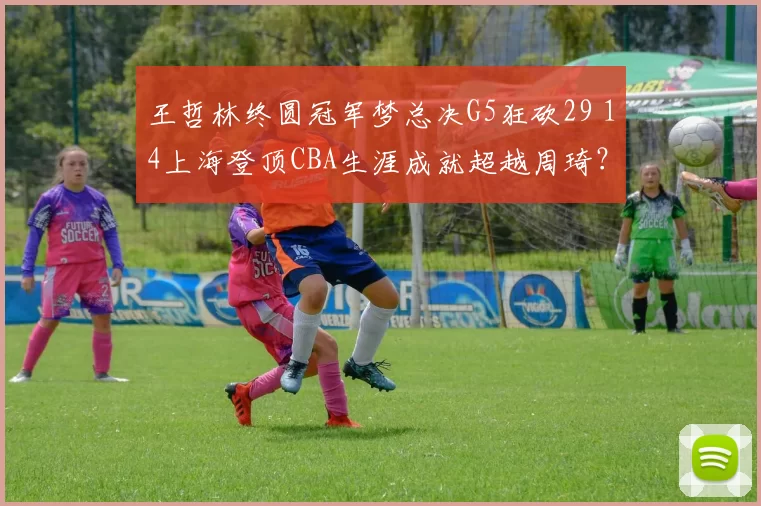 王哲林终圆冠军梦总决G5狂砍29 14上海登顶CBA生涯成就超越周琦?