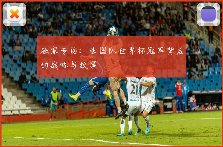 独家专访：法国队世界杯冠军背后的战略与故事