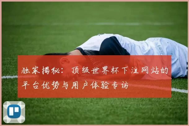 独家揭秘:顶级世界杯下注网站的平台优势与用户体验专访