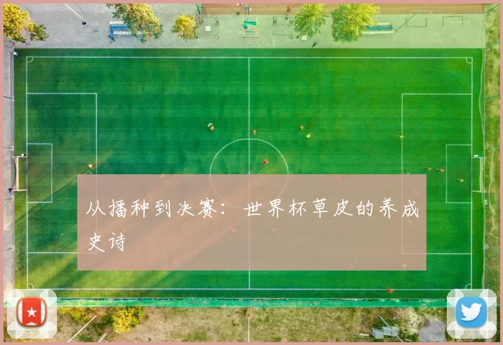 从播种到决赛：世界杯草皮的养成史诗